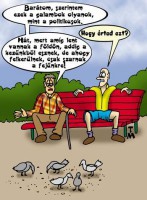 /album/fenykepgaleria/vicces-1702701-5713-jpg/